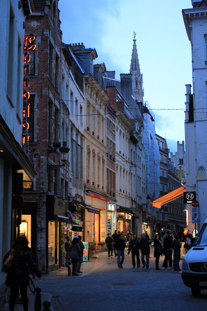 Evening Stroll Near the Grand Place, Brussels, Belgium Alyson Hurt