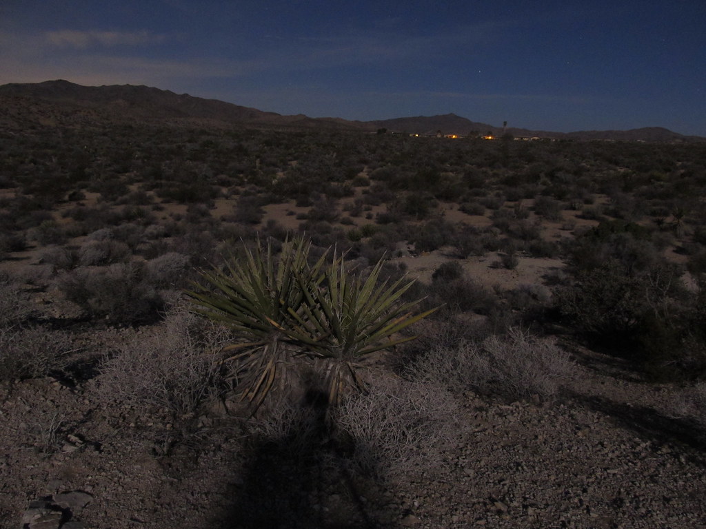 Cottonwood Spring Visitor Center in Distance, Joshua Tree … Flickr