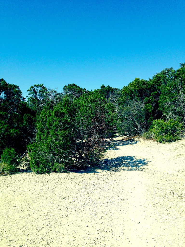 Walnut Creek Metropolitan Park Cesar Garza Flickr