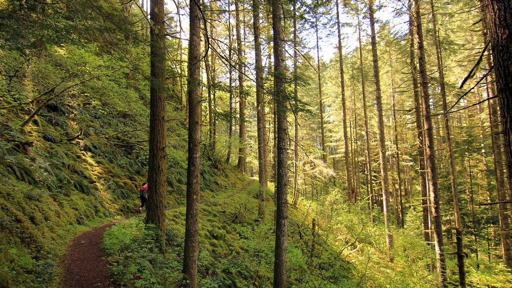 Dry Creek Falls hike Oregon, 4.28.13 Bill Automata Flickr
