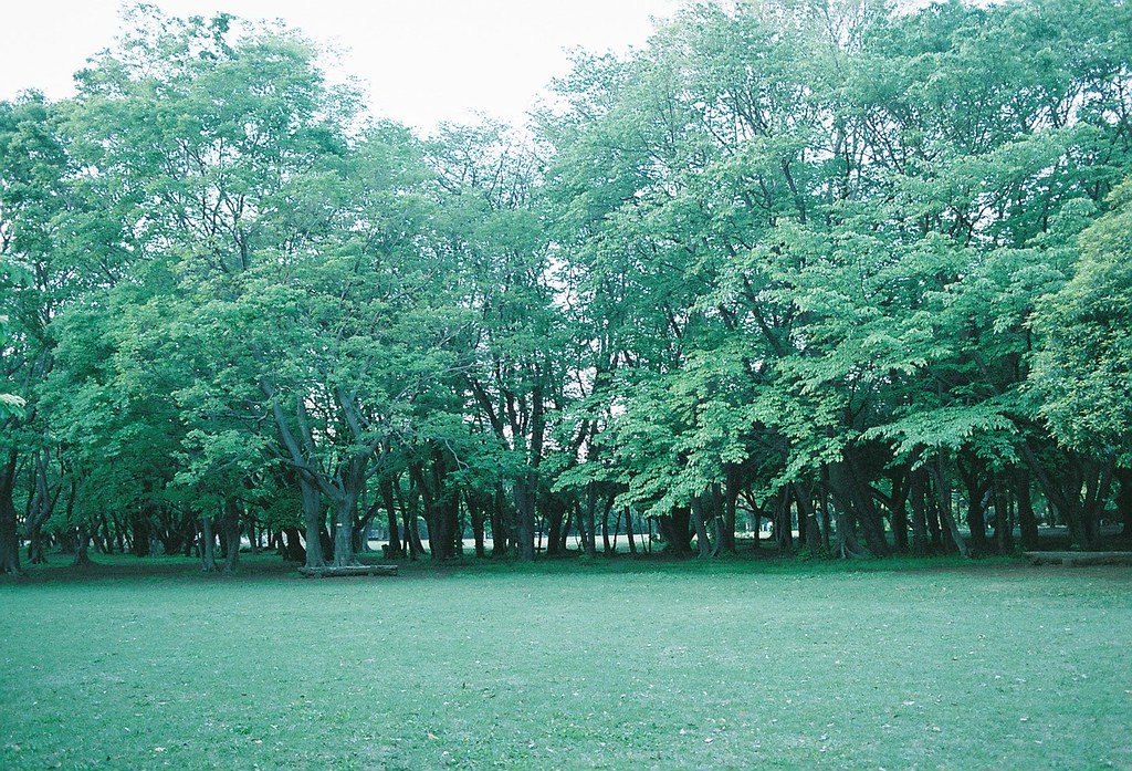 Tokorozawa Aviation Memorial Park Tokorozawashi, Saitama… Flickr