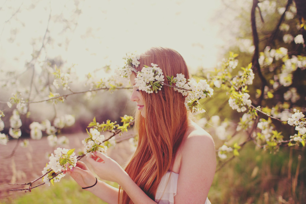 Blossom Kisses she keeps on dreaming Flickr