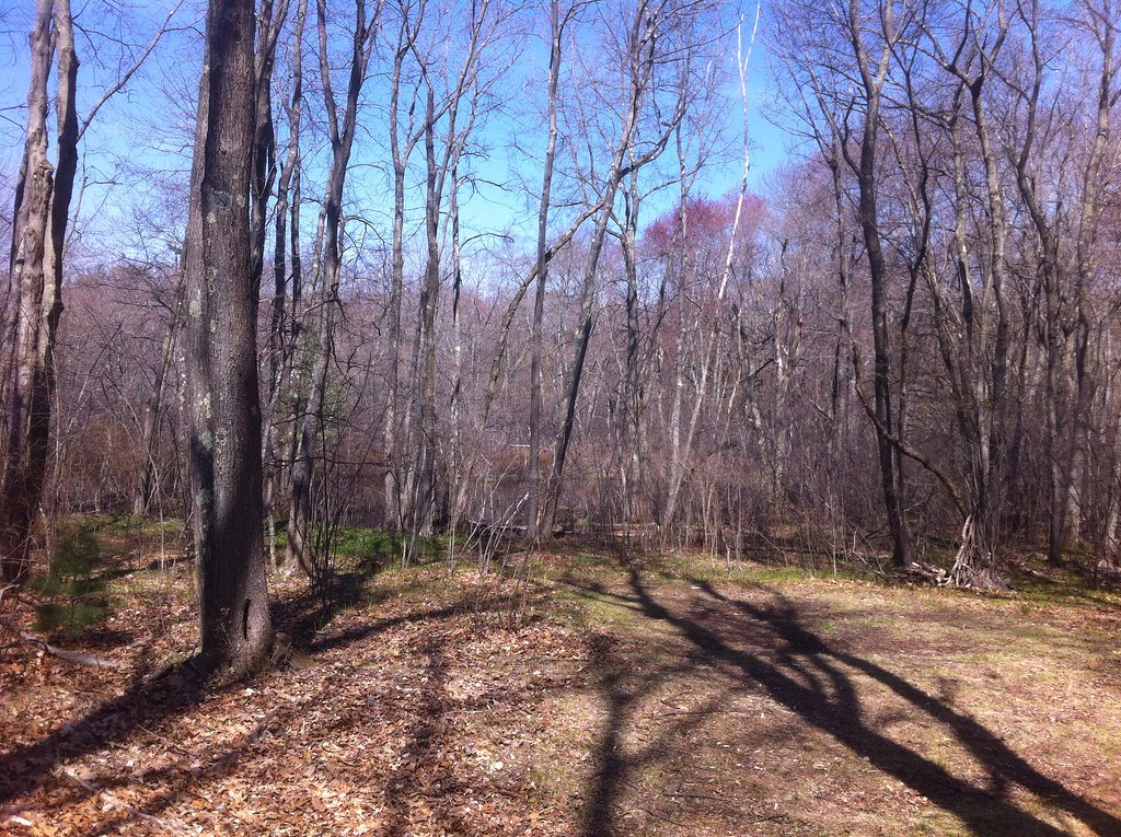 Arlington Great Meadows Habitat shots Jason Forbes Flickr