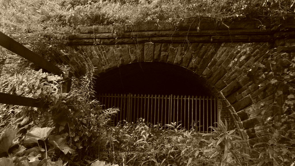 New Mills Hayfield old railway (Sett Valley Trail) for… Flickr