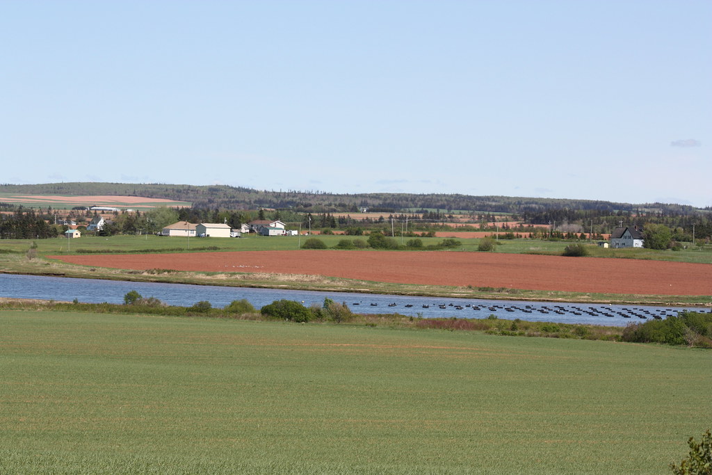 Malpeque, PEI View in Malpeque, Prince Edward Island, Cana