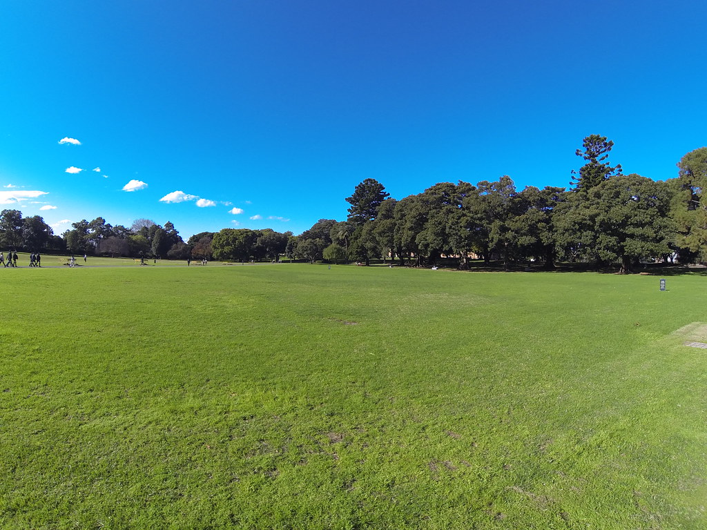 The Domain, Sydney (NSW) Flickr