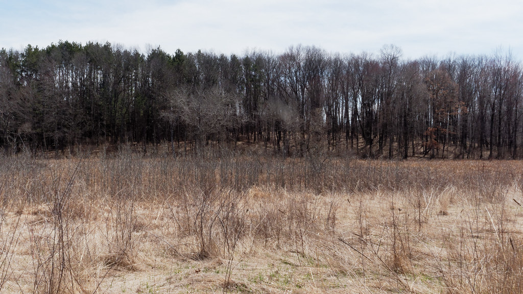 Baker Sanctuary Michigan Audubon's Bernard Baker Sanctuary… Flickr