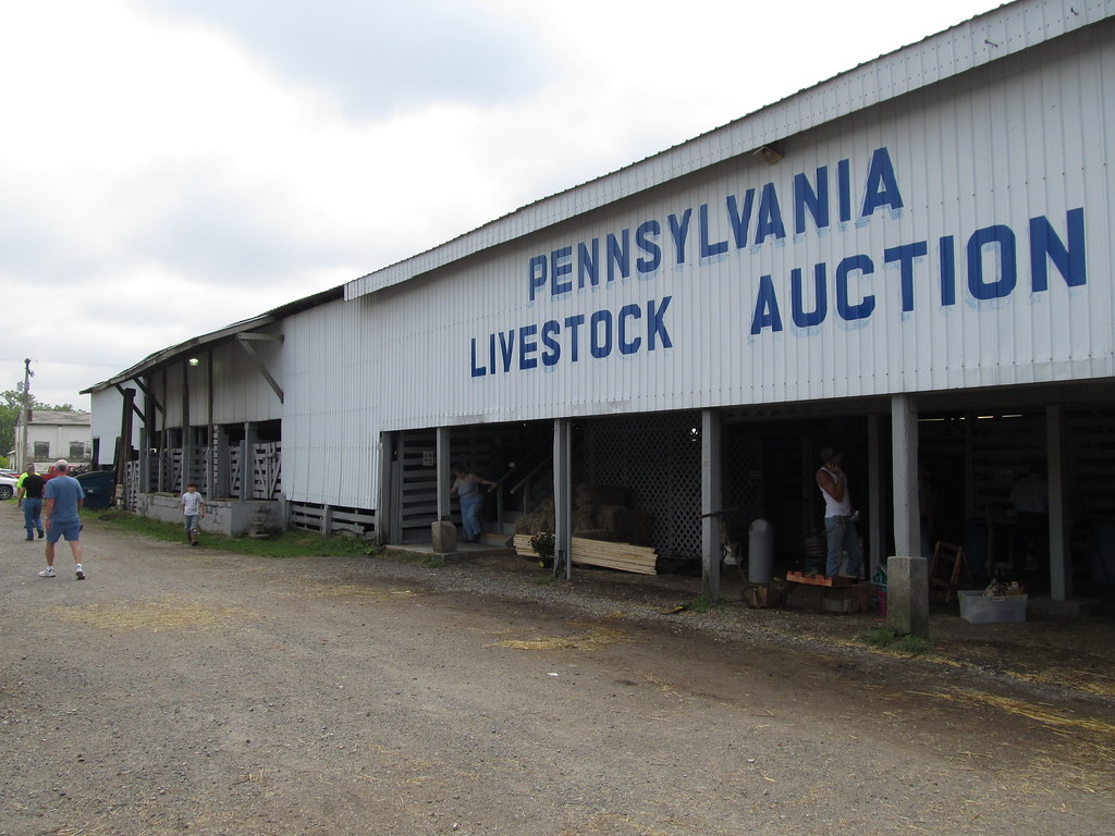 Pennsylvania Livestock Auction Flickr