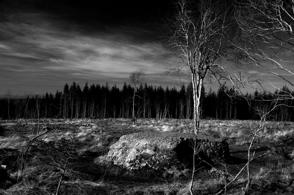 Prisoners' stone, Culloden Forest, Scotland The Prisoners'… Flickr