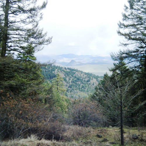 Okanogan Public Auction Lemanasky 40 Acres This property … Flickr