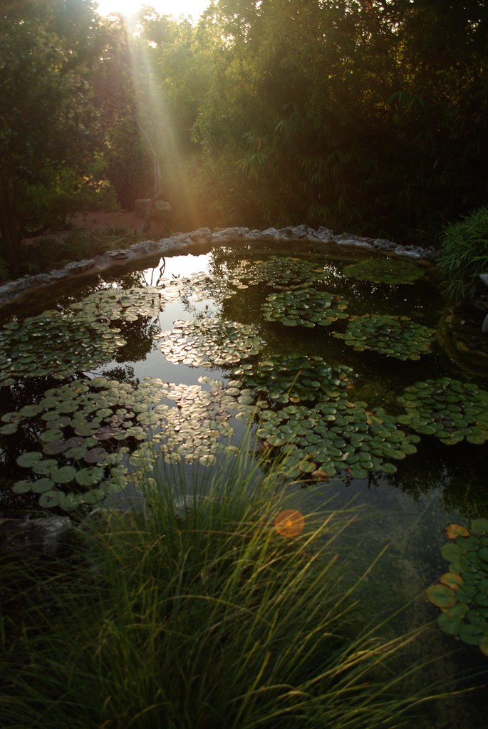 Elevation of Lewis Mountain Dr, Austin, TX, USA Topographic Map