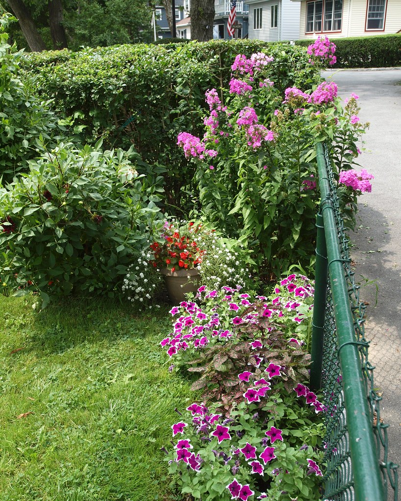 Indian Trail Garden, Silver Beach, Bronx, New York City Flickr