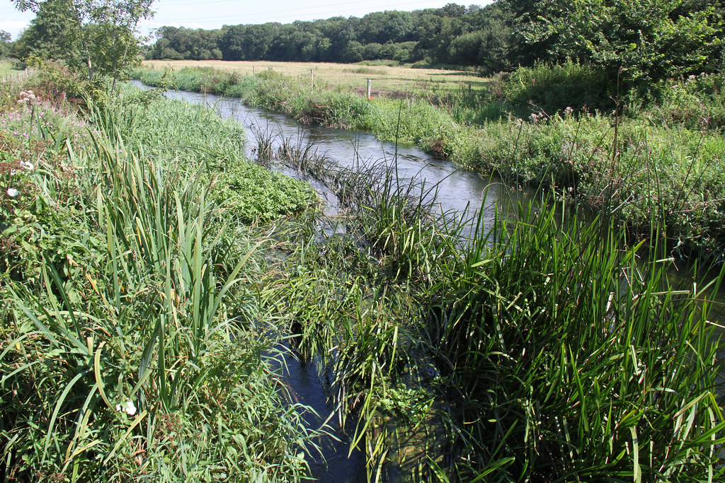 Dorset Countryside River Allen near High Hall The McKillop Flickr