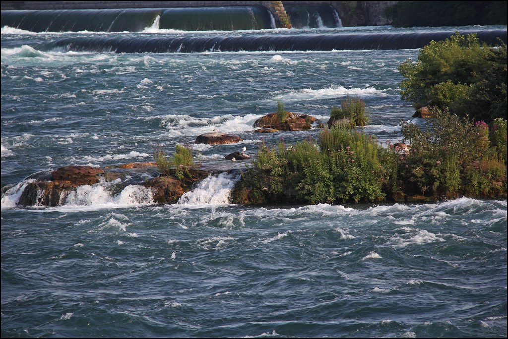 Holiday Photos Niagara Falls Niagara Falls (Cayuga Gahna… Flickr