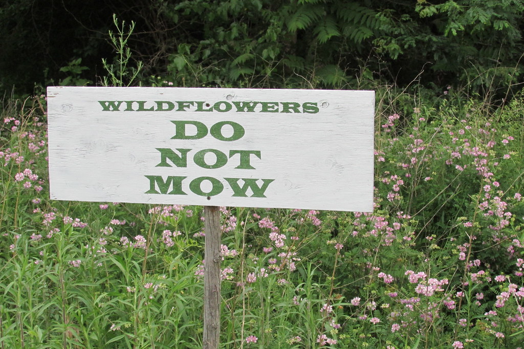 HCG July 2016 Hammonton Garden Flickr