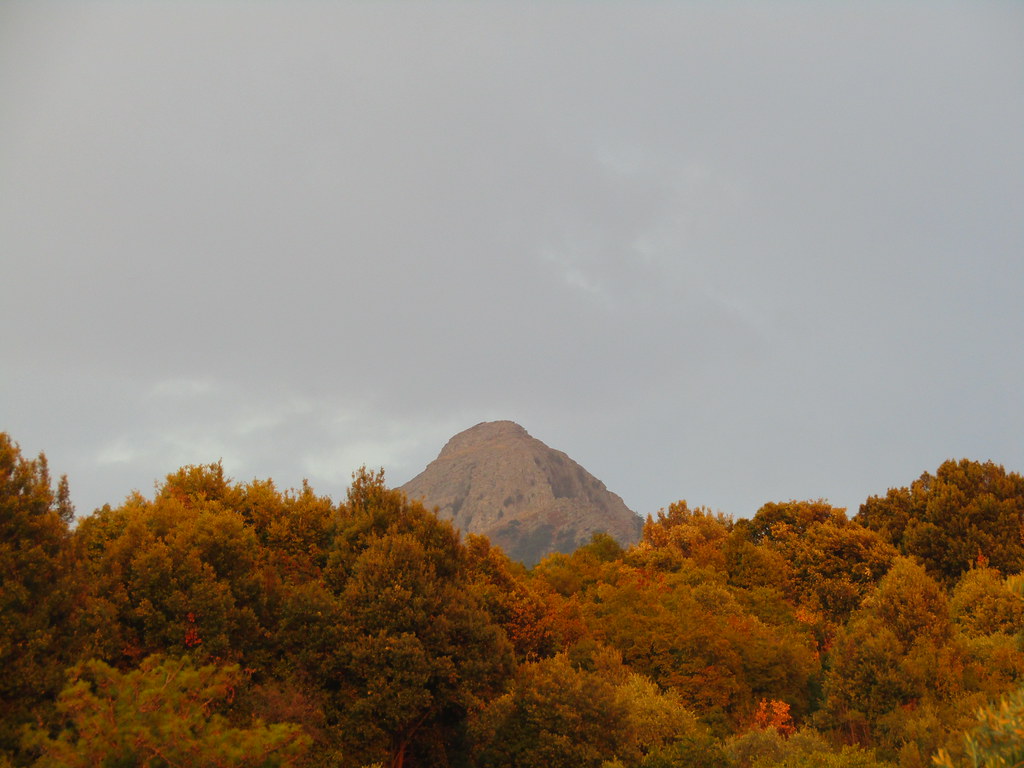 Morning light Nostos Studios, Golden Beach, Thassos. Leonora (Ellie