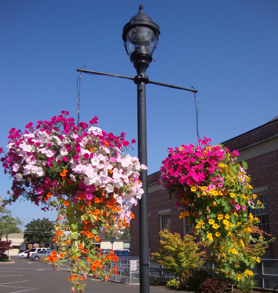 McMinnville Hanging Flower Planters (McMinnville, Oregon) Flickr