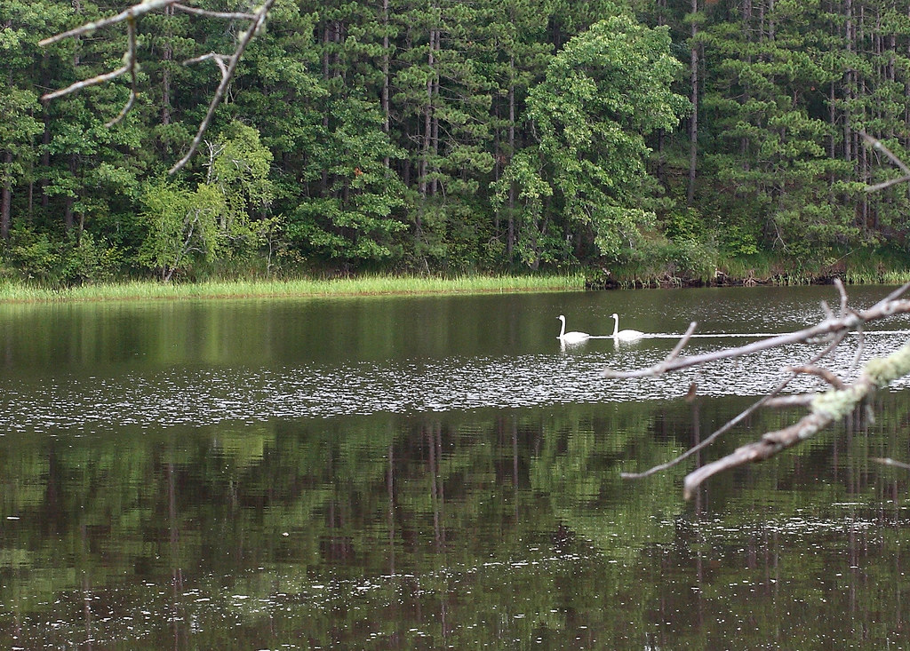 Willow River, MN Rich Flickr