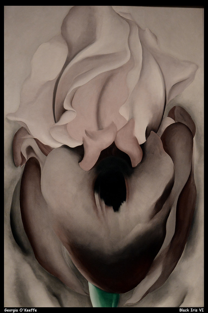 O'Keeffe Black Iris VI JPB 1936 Oil on canvas Pa… Flickr