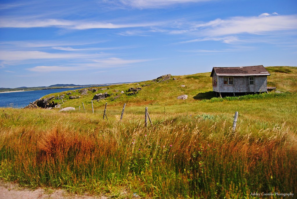 Cape Ray, Portauxbasques, Newfoundland. Flickr