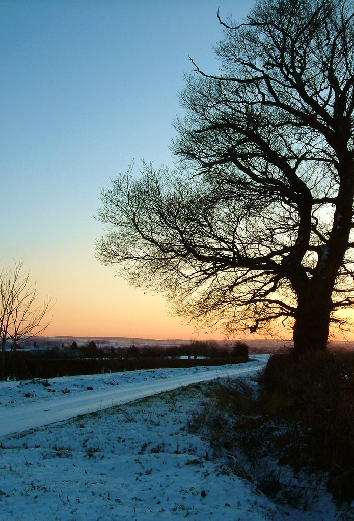 Alvaston Lane, Derby ROSE BEAVAN Flickr