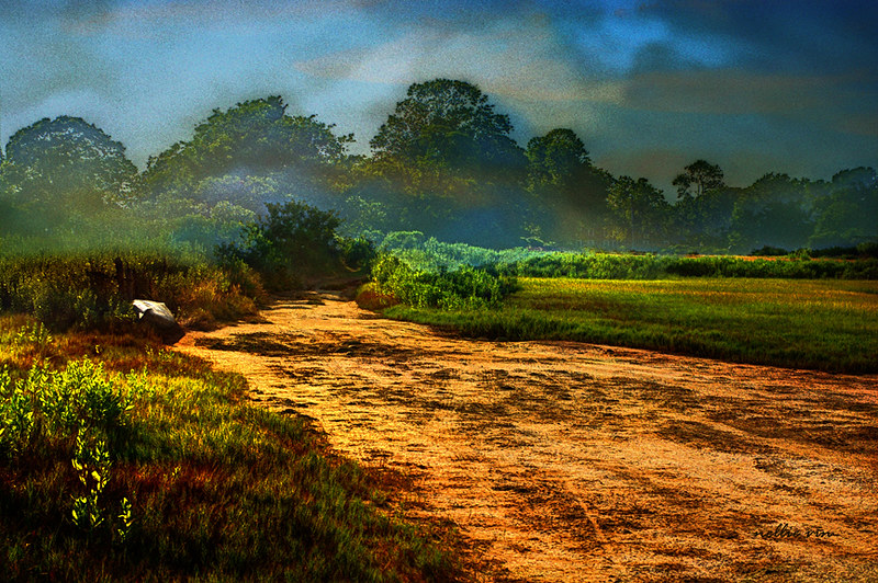 14 Ship Wreck Dr, Amagansett, NY, USA Sunrise Sunset Times