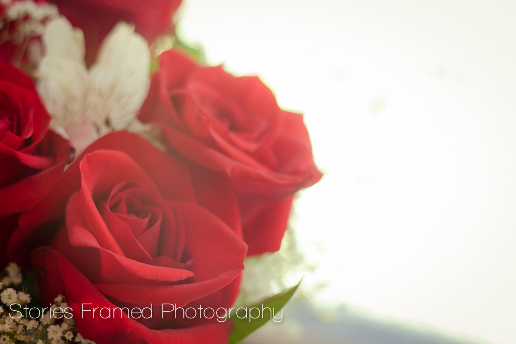 218/366 Anniversary roses. Tomorrow will be a dozen years.… Flickr