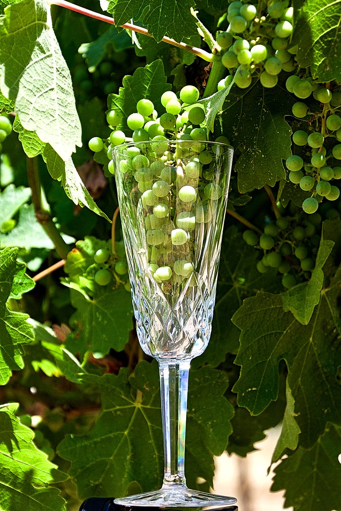 Grapes in a Glass V Norris Flickr