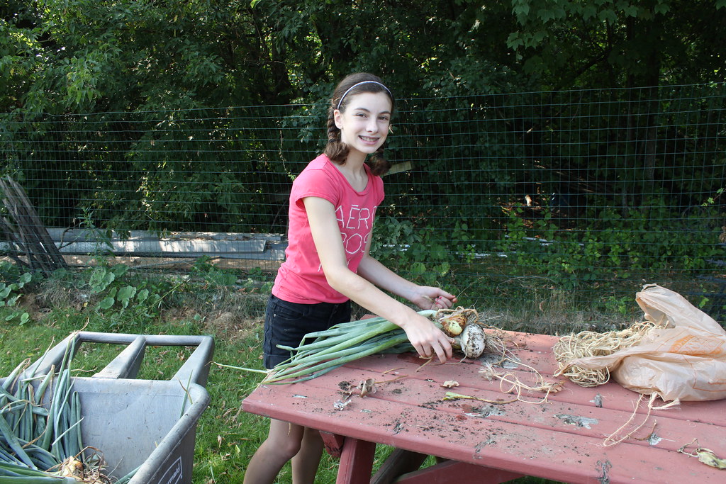 garden 002 East Greenbush Central School District Flickr