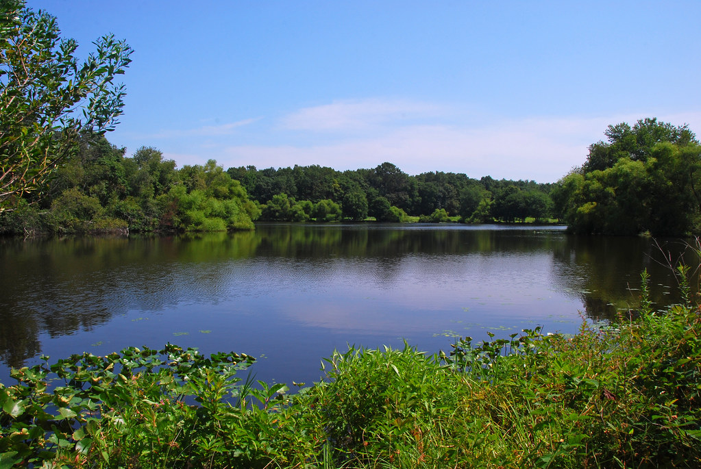 Turkey Swamp Park Freehold, NJ Lovely lake for fishing a… Flickr