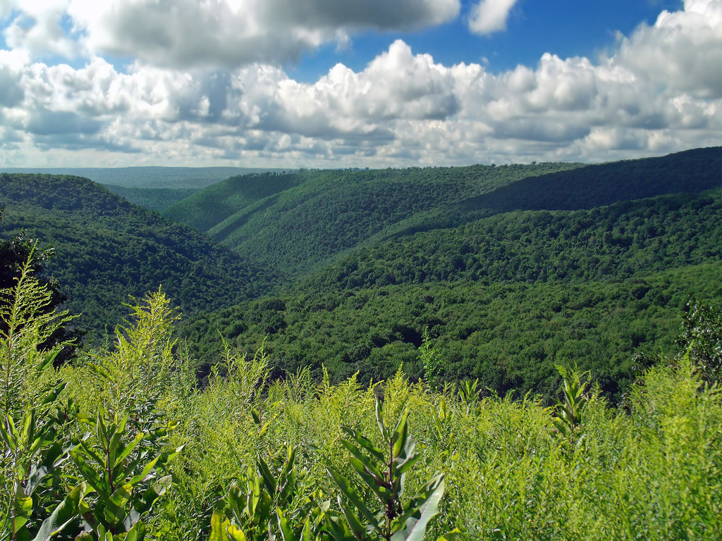 Fish Dam Run Vista (Revisited) Along PA Route 144, Clinton… Flickr