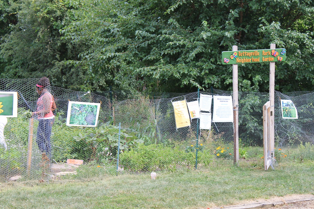 Cottageville Park Community Garden on CG Day 2012 Photo by
