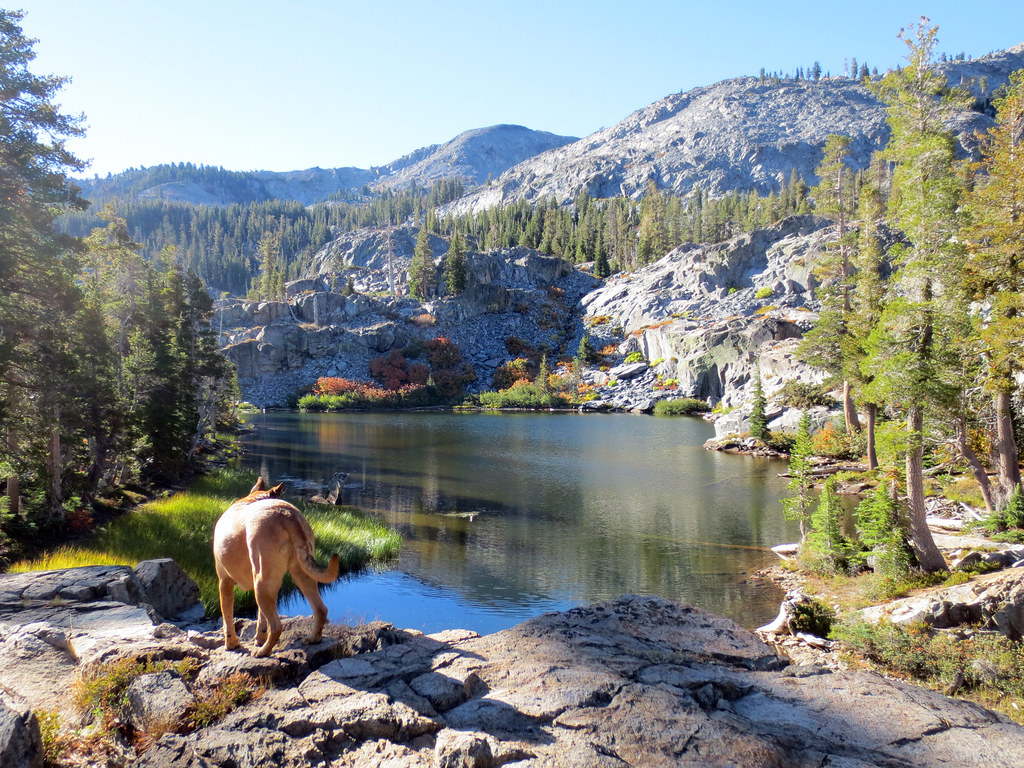 Ralston Lake Mitch Barrie Flickr