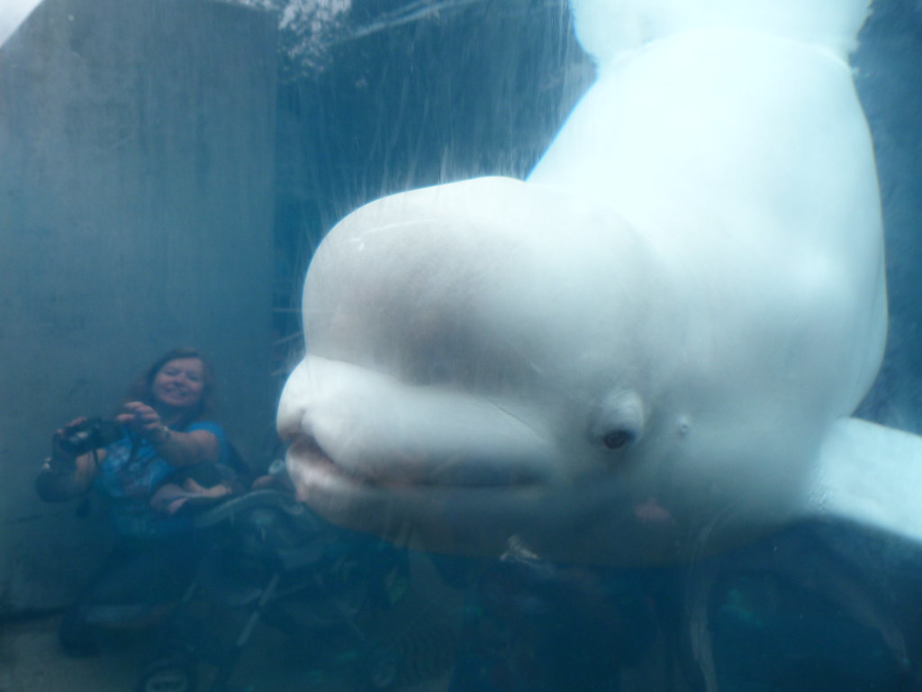 Events In Mystic Ct July 2023