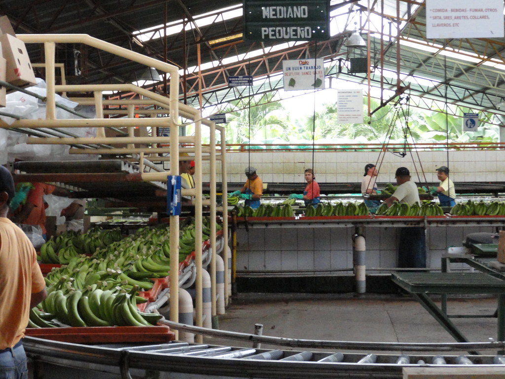 Dole Fresh Fruit at Tenth Avenue Marine Terminal Where do … Flickr