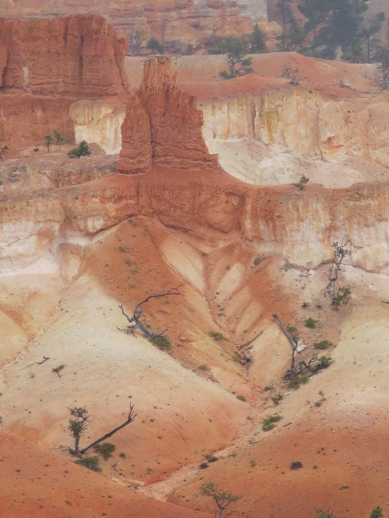 coffee art discovered in Bryce Canyon The fact that this l… Flickr