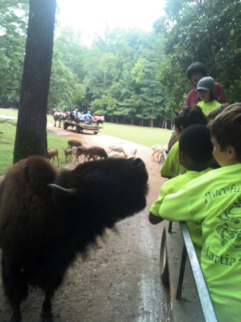 Lazy 5 Ranch Mooresville, NC Summer Camp Week 8 (August… Flickr