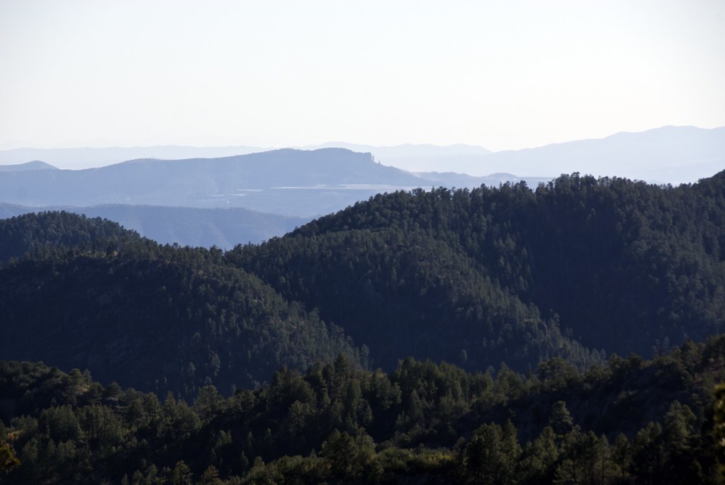 Elevation of New Mexico, NM, New Mexico, USA Topographic Map