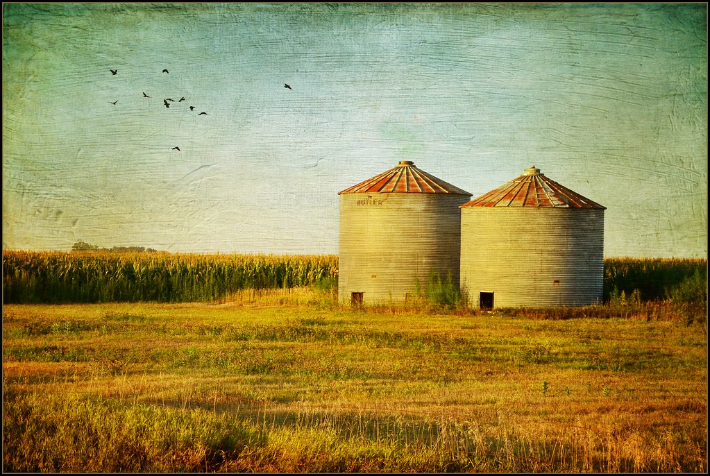 Grain Bins at Sunset Taken in Northwest Iowa, where the co… Flickr