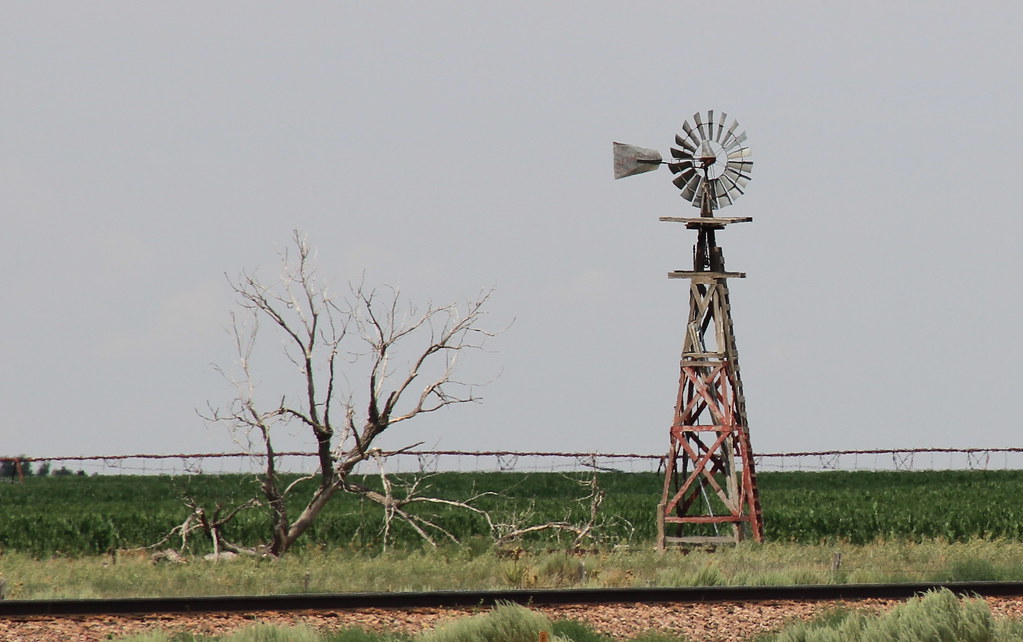 Windmill Wednesday Near Dumas, Texas; 070812; IMG_0214 Diane Rice