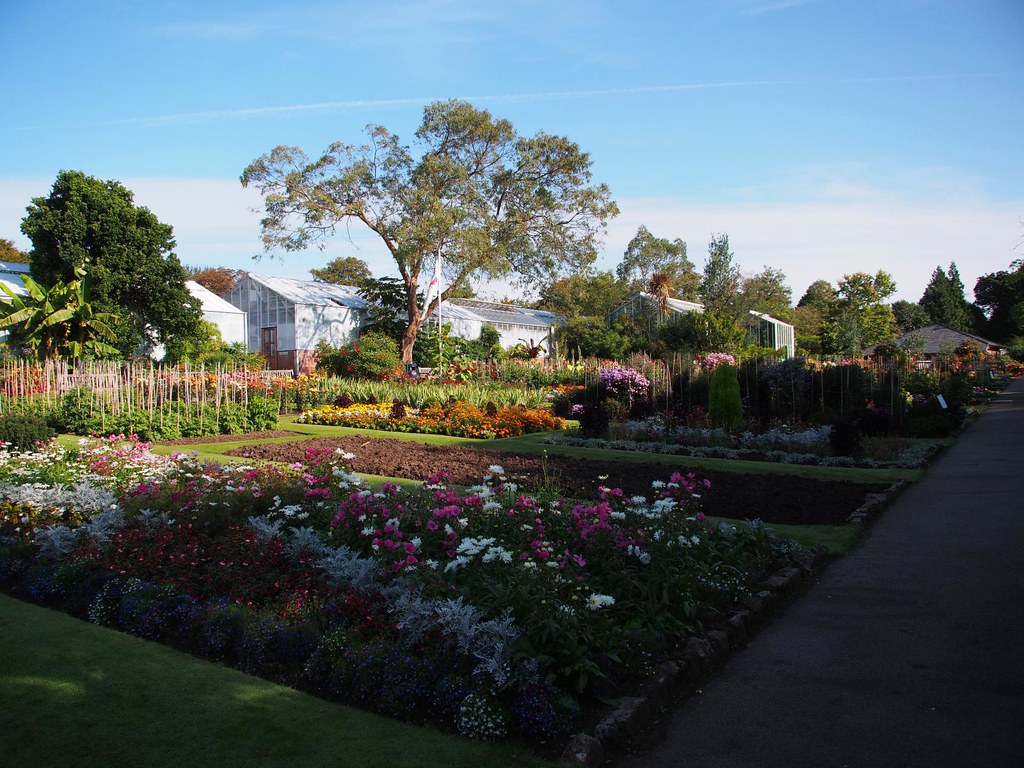 Flowers Swansea Botanical Gardens Singleton Park 22nd Se… Flickr