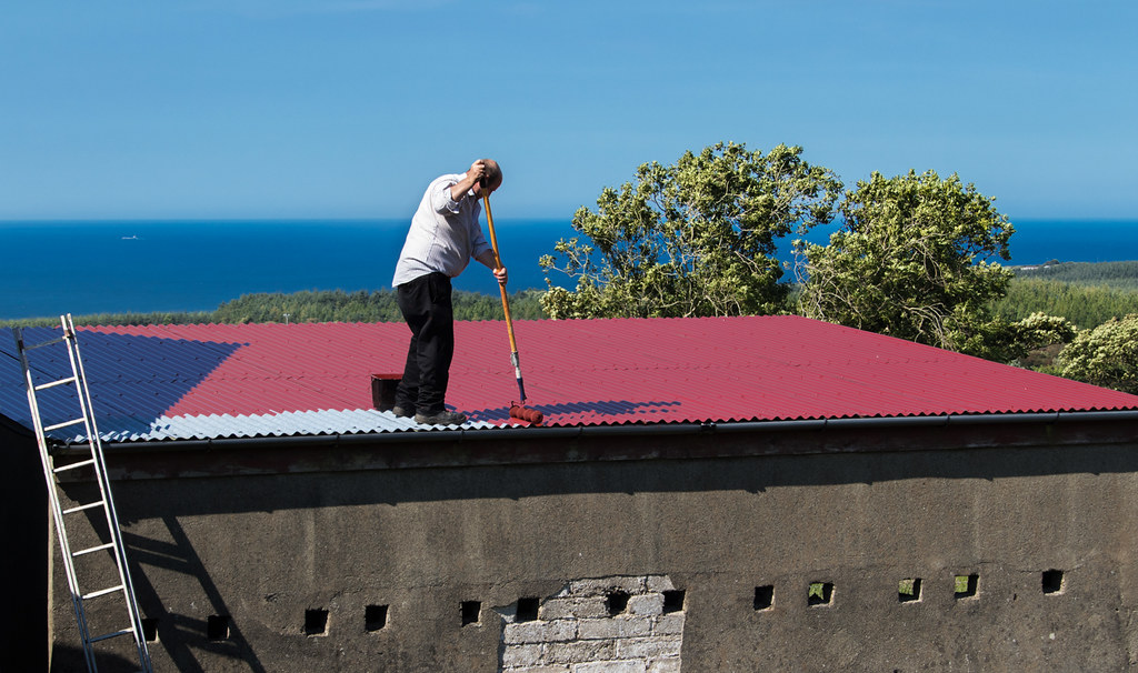 Red carpet treatment Paul Flickr