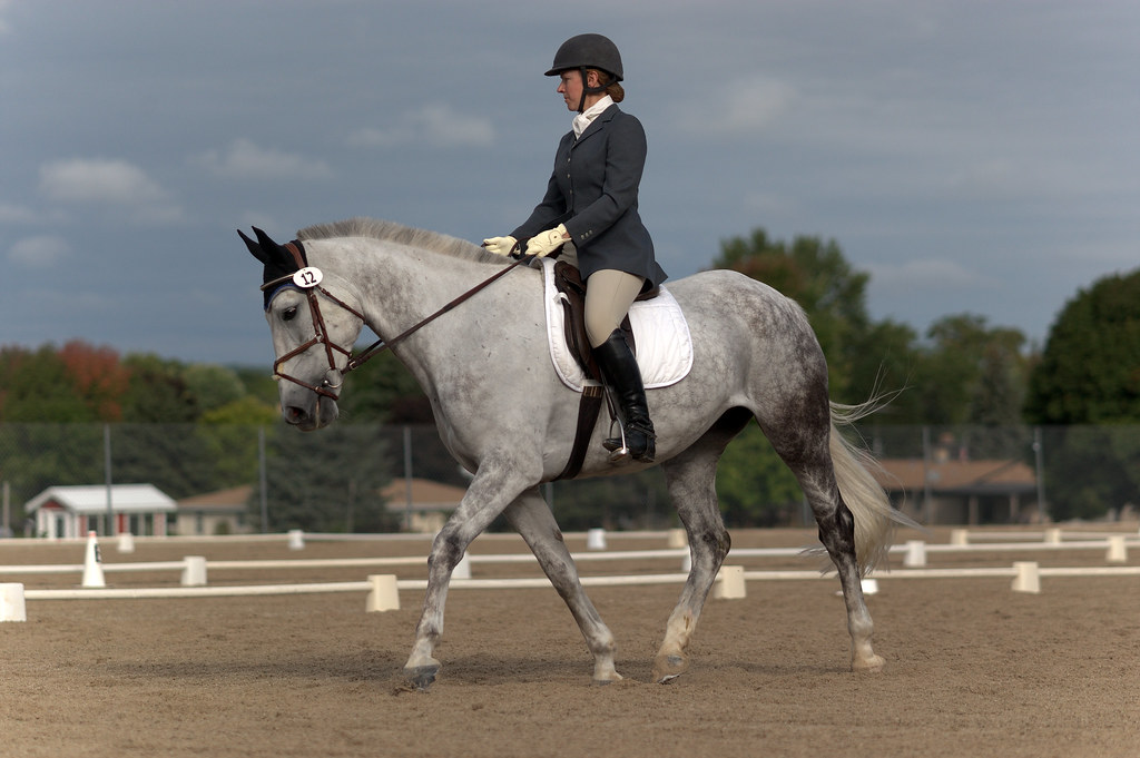 Sundance Farm Horse Trials Flickr