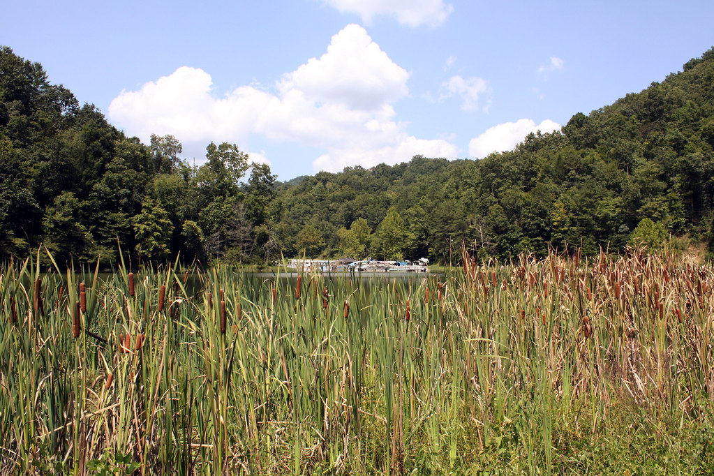 Cranks Creek Lake Cranks Creek is a tributary of Martins F… Flickr