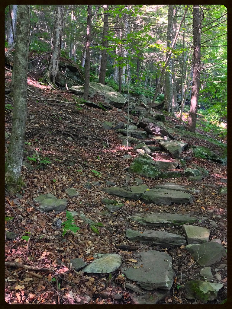 Phoenicia East Branch Trail I've done quite a few trails i… Flickr