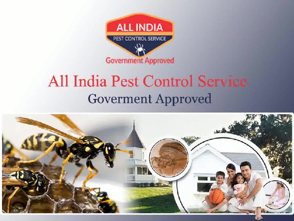 Pest Control In Ghaziabad All India pest control service i… Flickr