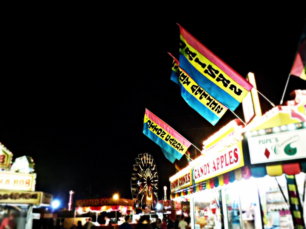 The Midway At the Wilson County Fair, Tennessee's biggest … Flickr