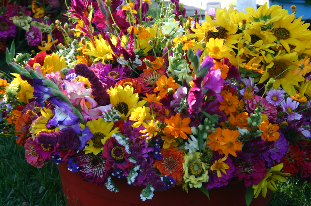 Wisconsin Dells farmers market 2012 001 Mrs Chang"s flower