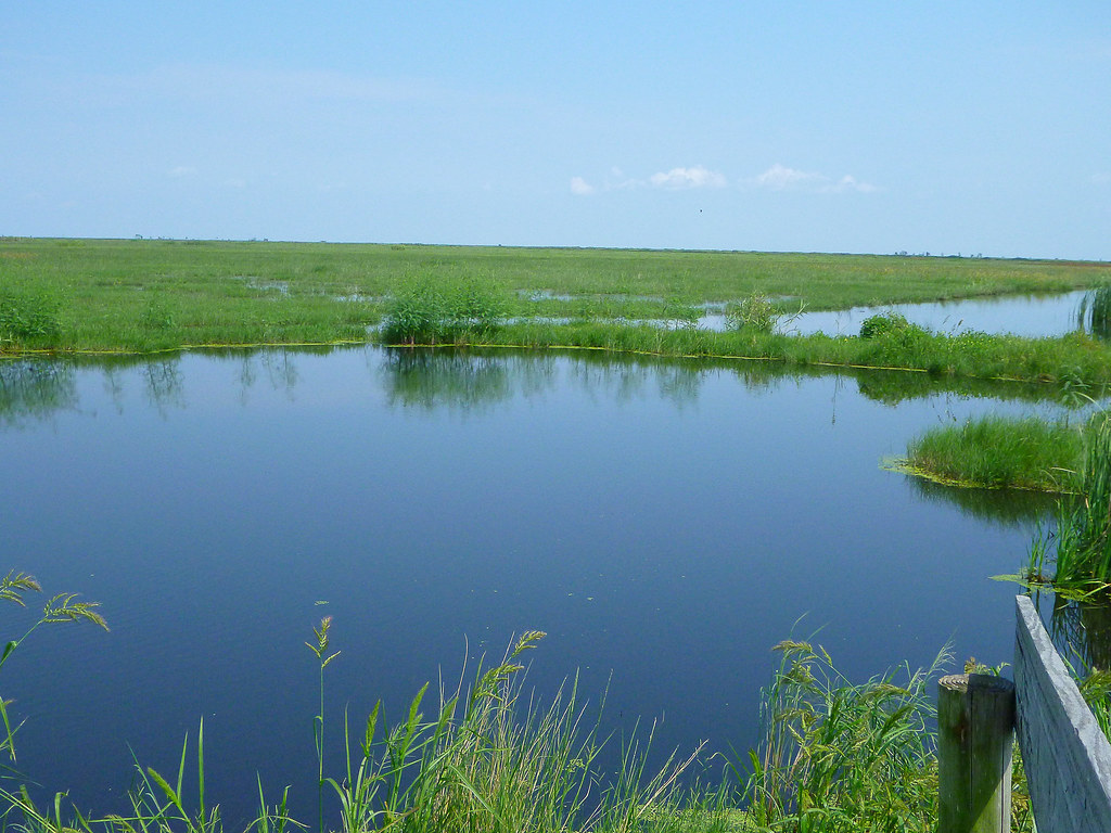 Elevation of Pecan Island, LA, USA Topographic Map Altitude Map