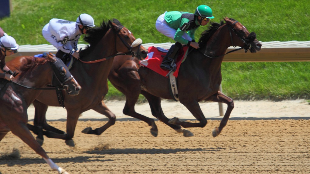 Horse Racing Premiere Thoroughbred Racing Delaware Park Ra… Flickr